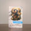 Livro Novena Nossa Senhora Desatadora de Nós